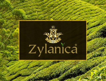 ZYLANICA EARL GREY TEA 100 TOR - herbata czarna