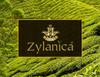 ZYLANICA EARL GREY TEA 100 TOR - herbata czarna